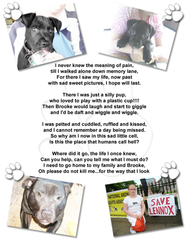 Lennox By Maria Fawcett